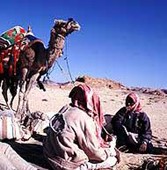 Beduinen auf dem Sinai