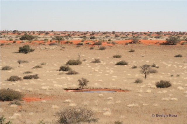 Kalahari 