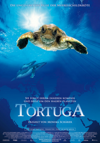 Tortuga Meeresschildkröte