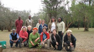 Reisen in Ostafrika: Beim Green Belt Movement