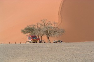 Singlereisen nach Namibia