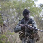 Simbabwe – Einsatz: Gegen Wilderei mithelfen bei der International Anti Poaching Foundation