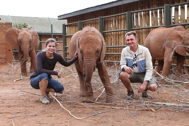 Kenia Urlaub - Elefantenwaisenhaus