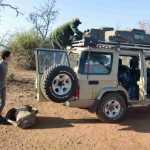 Two Ladies - unterwegs in Botswana