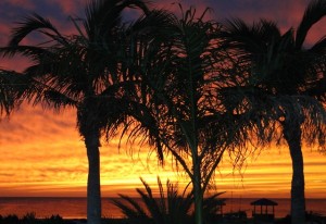 Sonnenuntergang in St. Petersburg, Florida