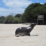 Wochenende auf San Cristóbal und Galápagoskreuzfahrt mit der Treasure of Galapagos