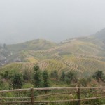 Die Reisterrassen von Longsheng