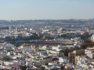 Blick von der Giralda auf Sevilla 