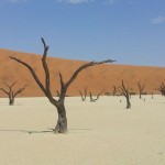 Traumhaftes Namibia