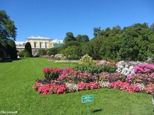 Blütenpracht im Schlosspark