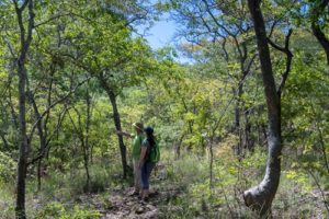 Secret Valley Trail auf dem Land der Musangano Lodge