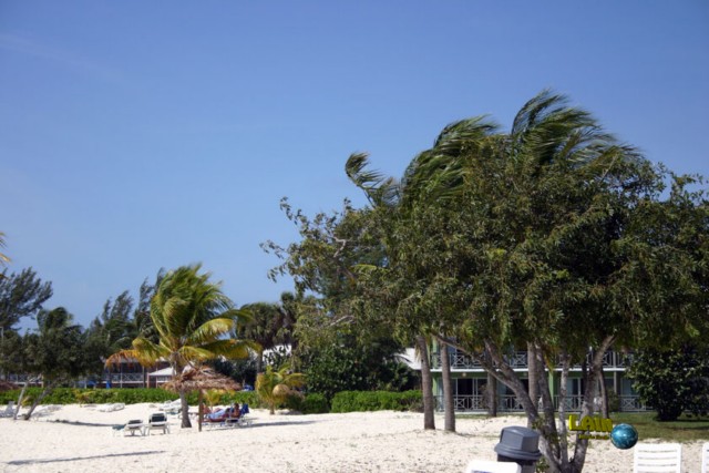 Viva Wyndham Fortuna Beach Resort / Grand Bahamas 2008