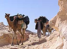 Lawrence von Arabien - Reise durch die Wüste Sinai / Ägypten