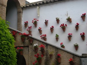 Blumentöpfe an den Wänden in Cordoba