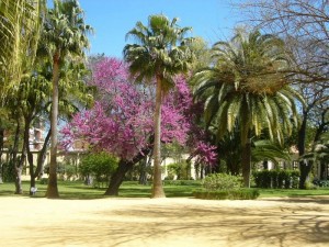 Garten der königlichen Hofreitschule in Jerez