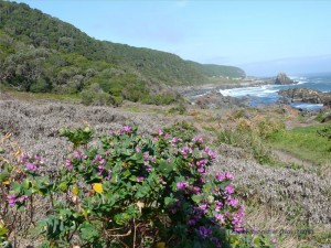 Blick zum Restcamp Stormsriver
