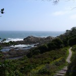 Weg zum Wasserfall