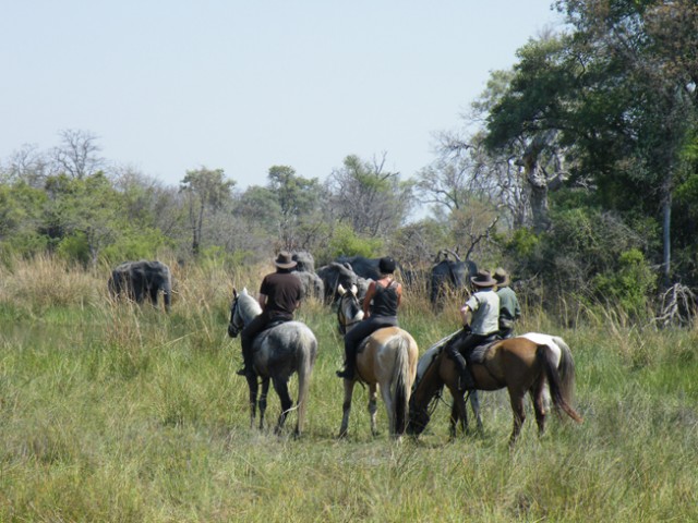 Botswana-Reise-Tipp: Reiten im Okavango Delta