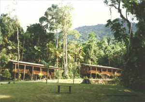 Resort Cottages 