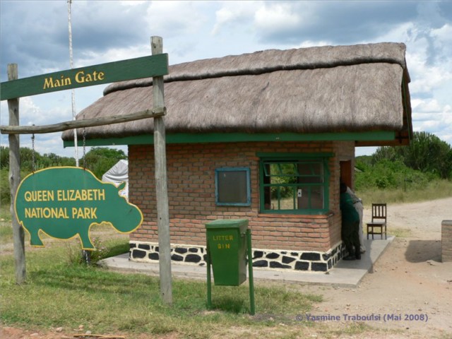 Uganda Reise Tipp: Tierbeobachtung im Queen Elizabeth Nationalpark 