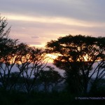 Sundowner