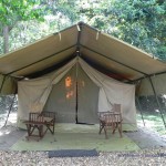 Zeltbeispiel Ishasha Wilderness Camp