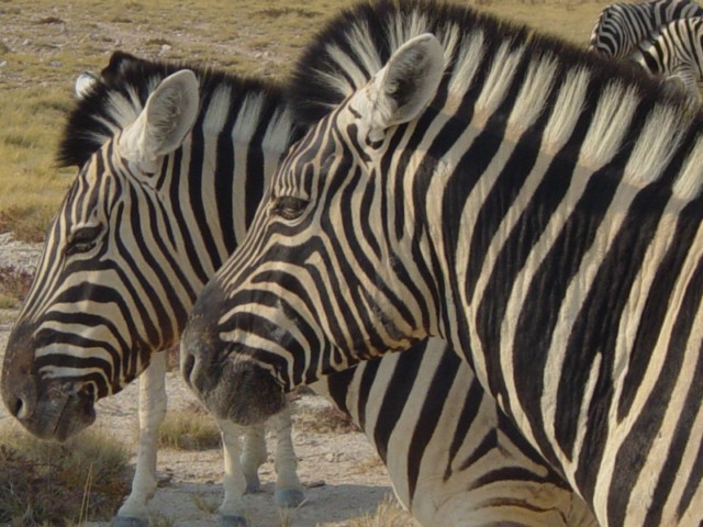 Namibia Rundreise - grandiose Landschaften 