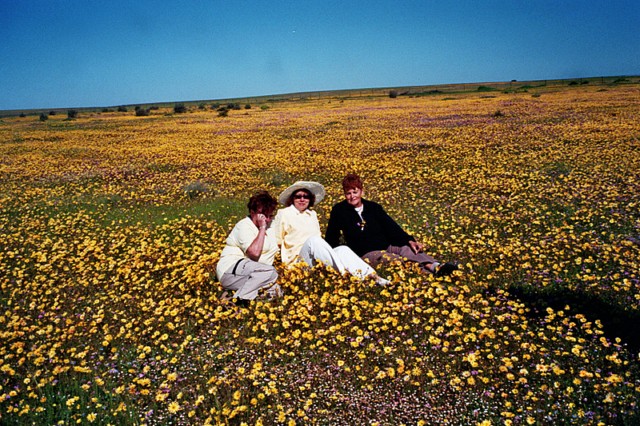 Südafrika Reise Tipp: Der Reisebericht über eine Blumenfahrt ins Namaqualand