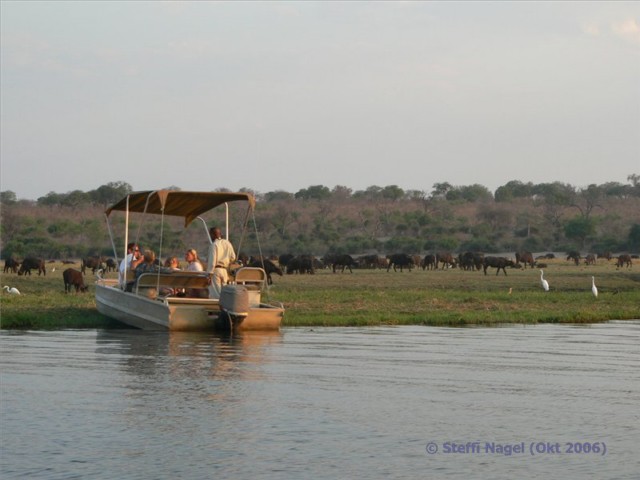 Bootstour auf dem Chobe Fluss