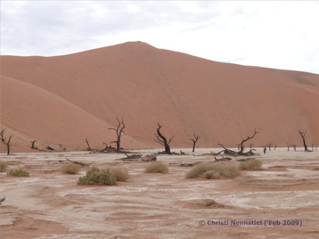 Reisebericht Namibia: Von Windhoek über Solitaire zum Dead Vlei und Sossusvlei