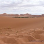 Auf dem Weg zum Deadvlei