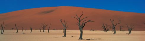 Rundreise durch Namibia von Windhoek über die Namib Sossusvlei Swakopmund zur Etoschapfanne