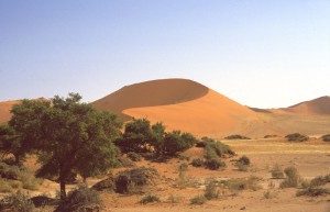 Namibia Sossusvlei