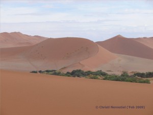 Blick zur Sossusvlei Düne