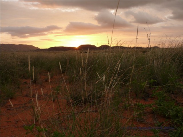 Sonnenuntergang 