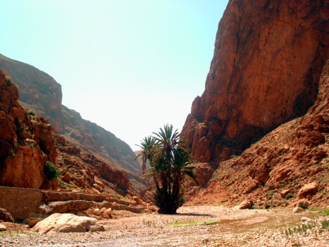 Marokko–Reisebericht: Klettern in der Todraschlucht
