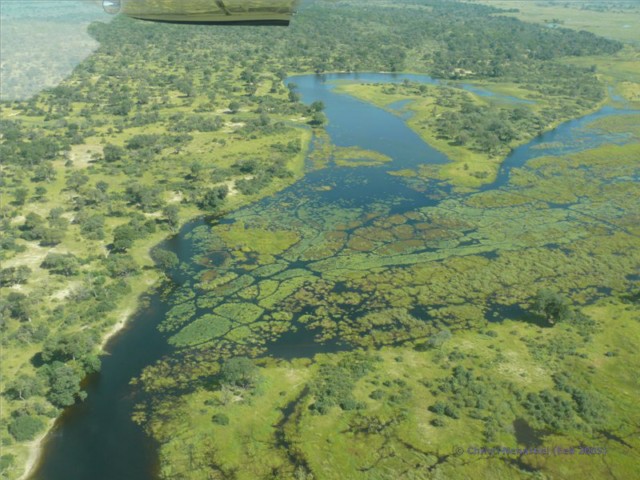 Flugsafari von der Namushasha Lodge nach Tsumkwe, am Khaudum Nationalpark 