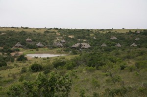 Kichaka