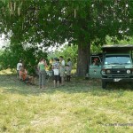 Picknick-Mittagessen