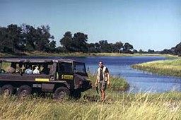 Namibia-Safari "Elefantenmutter gesucht!"