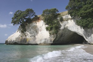 Coromandel "Cathedral Cove"