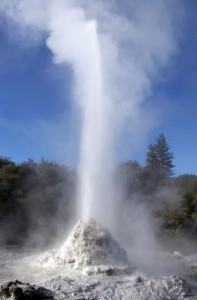 Rotorua Geysir