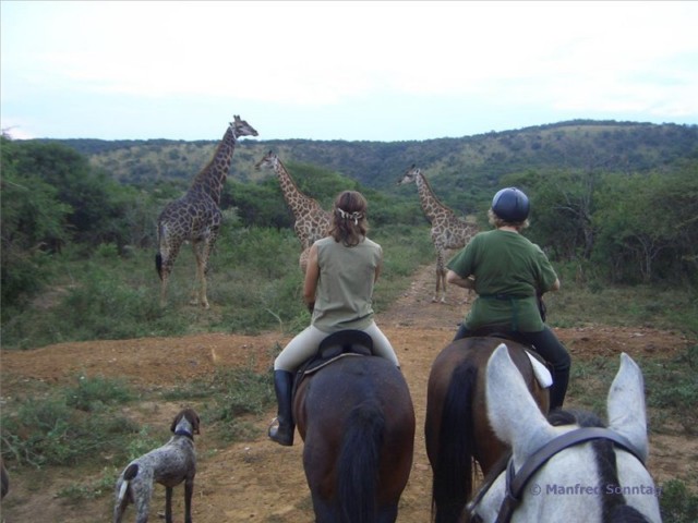 Reisetipp: Reiten in Südafrika im Pakamisa Private Game Reserve