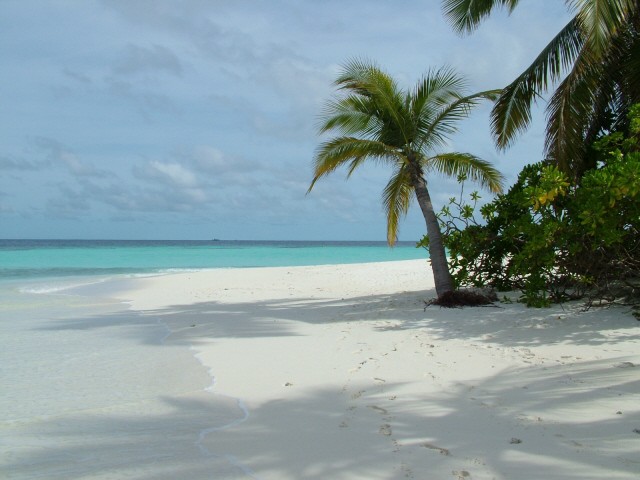 Traum Urlaub auf den Malediven-Insel Angaga