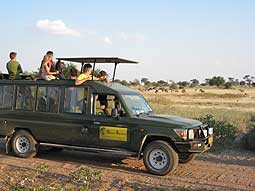 Eines unserer Safarifahrzeuge