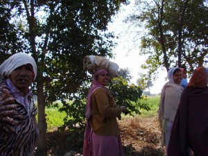 Frauenleben in Rajasthan