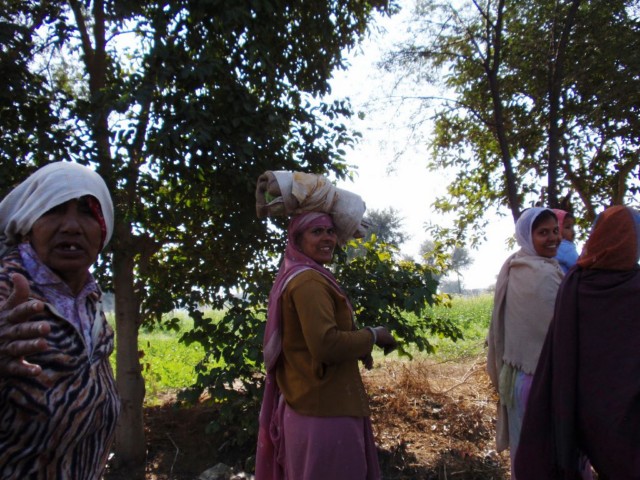 Bikaner und der Rattentempel von Deshnoke