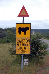 Hwange Nationalpark - Warnschild Büffel
