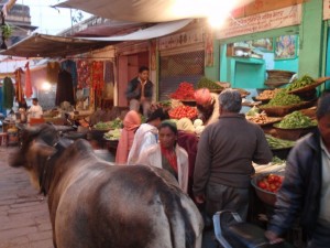 Markt in Jodhpur
