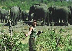 Auf "Tuchfühlung" mit Elefanten